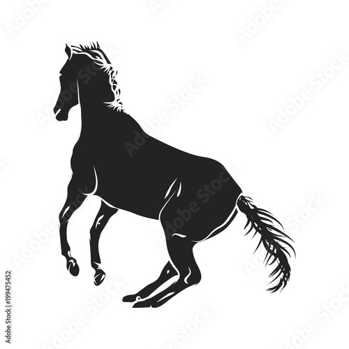 horse silhouette monochrome
