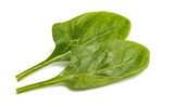 spinach isolated