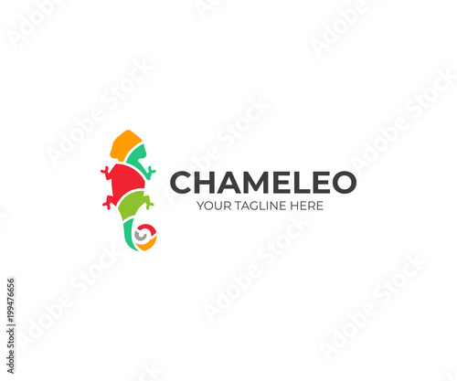 Chameleon logo template. Colored lizard vector design. Exotic animal logotype