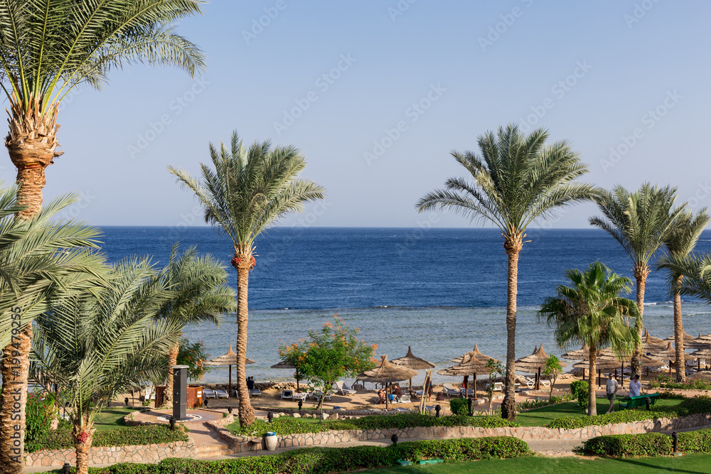 Beach in a luxury hotel, Egypt. The beauty of the Egyptian Hotel