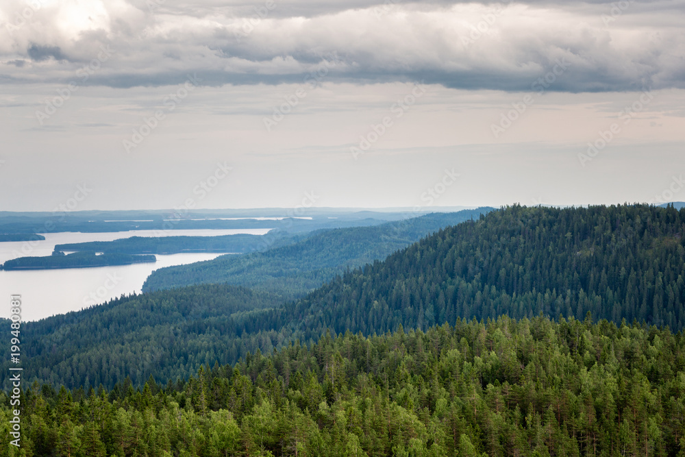 View of the hills and forest from hill top, Koli National Park, Finland