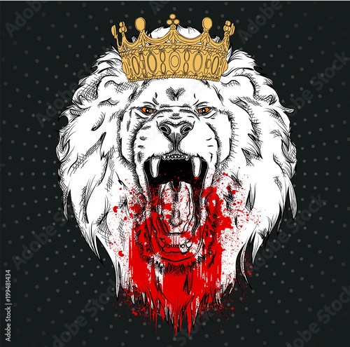 Fototapeta Naklejka Na Ścianę i Meble -  Portrait of a lion. Can be used for printing on T-shirts, flyers and stuff. Vector illustration