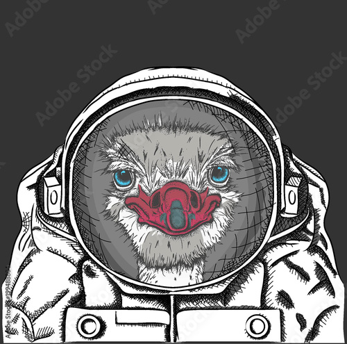 ostrich in a spacesuit. Vector illustration
