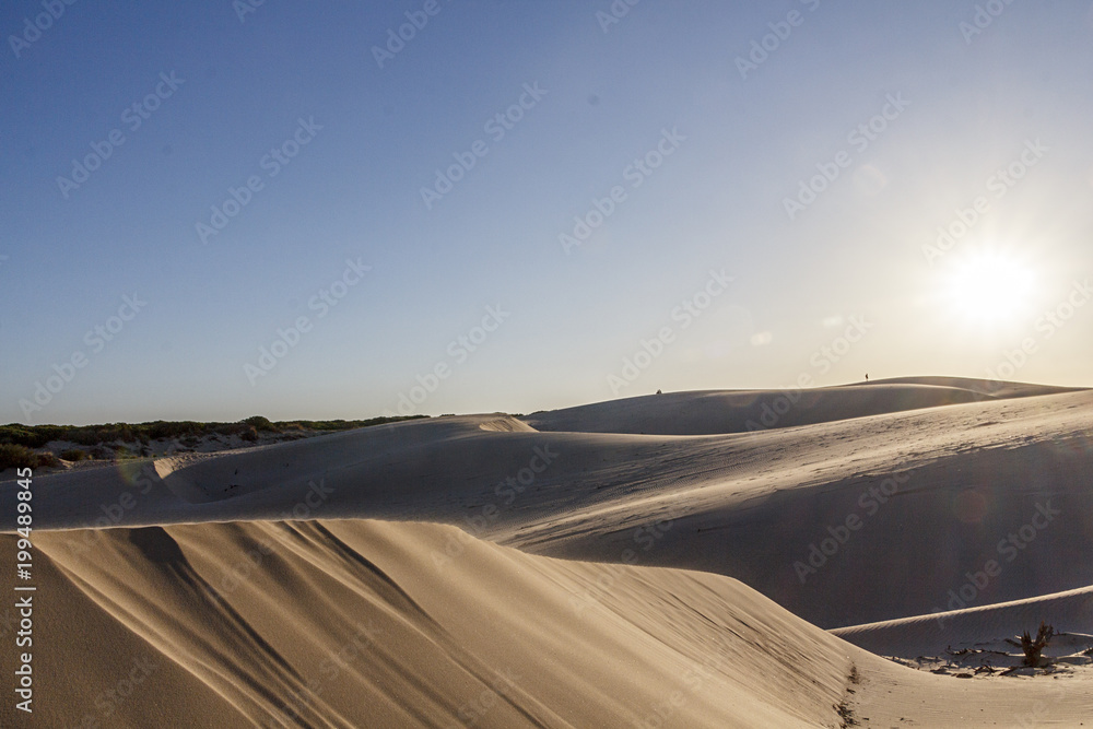 dunas con viento