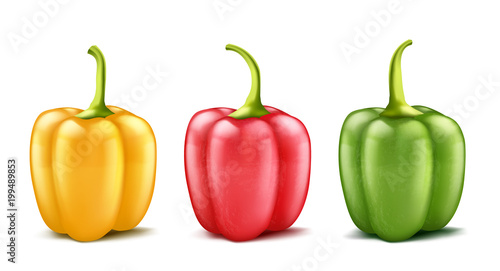 Vector set of three realistic bell peppers or bulgarian, red, green and yellow isolated on background. Whole pod of sweet pepper, vegetable for cooking and eating, organic food for vegetarians