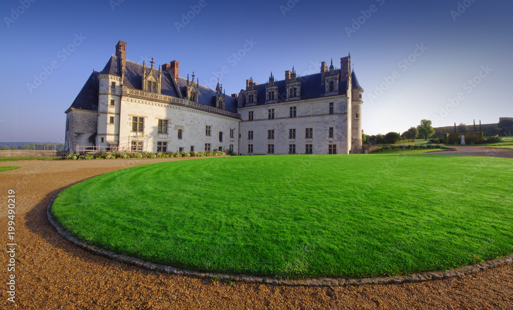 beautiful Amboise castle in France