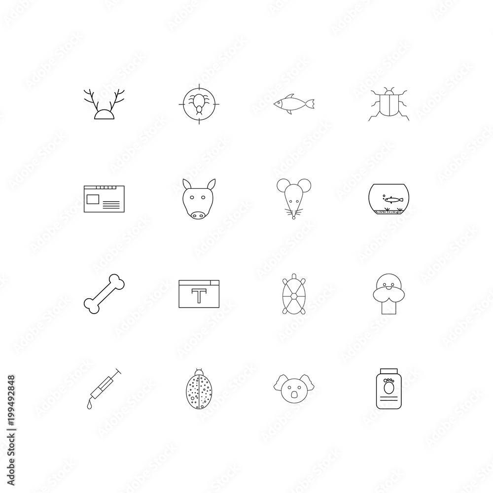 Animals simple linear icons set. Outlined vector icons Animals simple linear icons set. Outlined vector icons