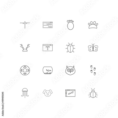 Animals simple linear icons set. Outlined vector icons