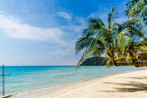 View on tropical palm beach on Koh Kood island - Thailand