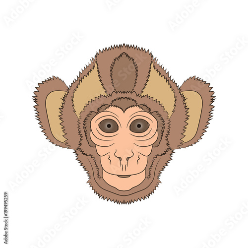 image of the head is monkey. Vector graphics. Hand drawing