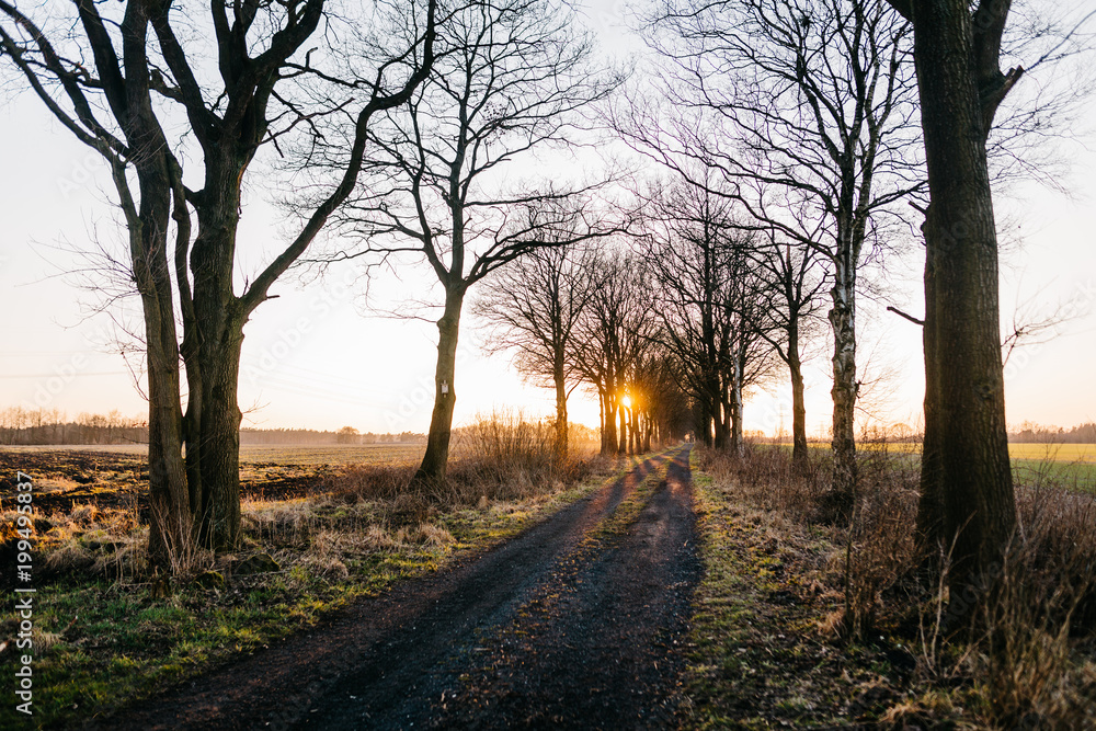 Sonnenuntergang auf dem Feldweg Sonnenuntergang auf dem Feldweg