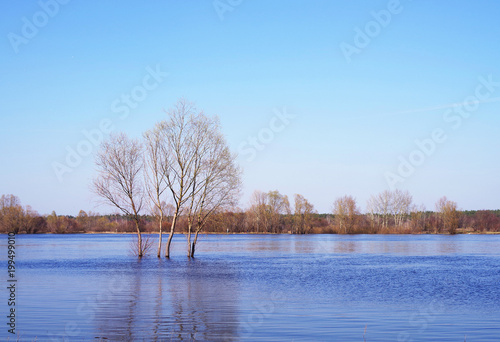 Spring landscape on the river. Trees and river in spring day. River flood