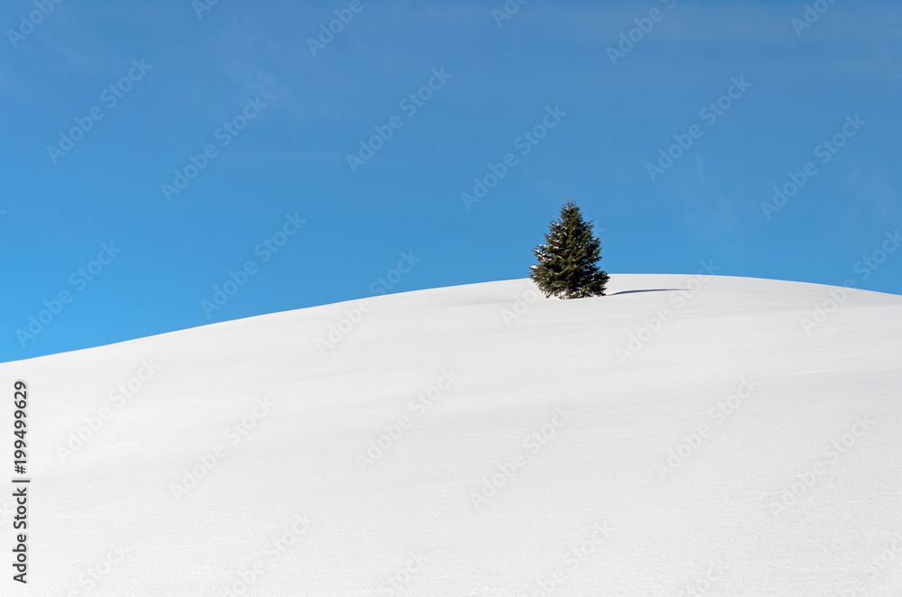 Alpine minimalistic landscape of a snow-capped hill on which a lonely tree stands against a blue sky. Alpine minimalistic landscape of a snow-capped hill on which a lonely tree stands against a blue sky.