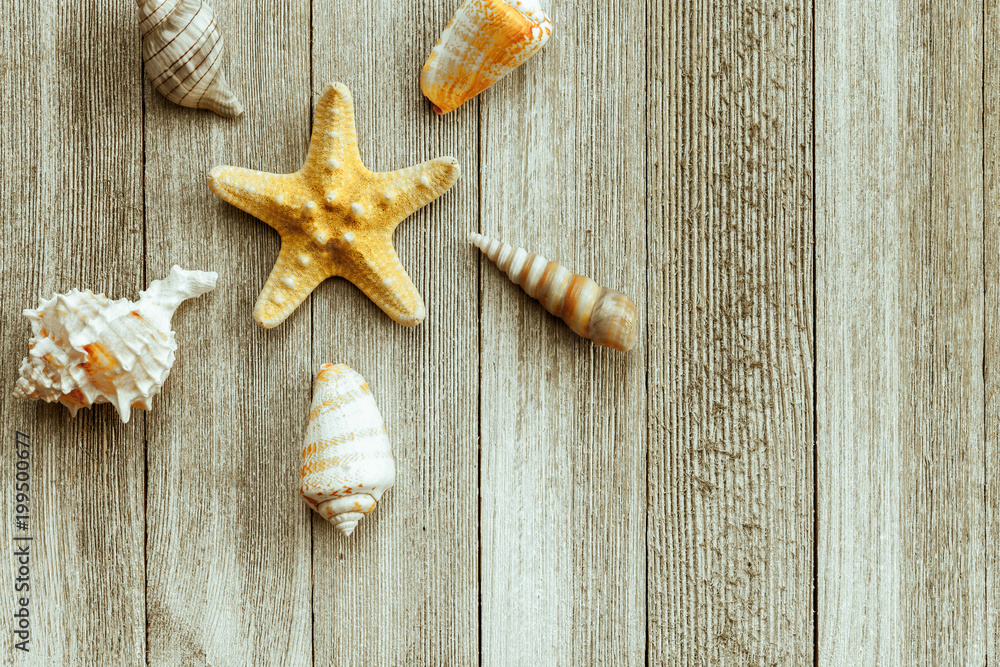 Summer vintage background with starfish and seashells on wooden boards