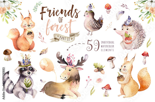 Cute watercolor bohemian baby cartoon hedgehog, squirrel and moose animal for nursary, woodland isolated forest illustration for children. Bunnies animals. © kris_art