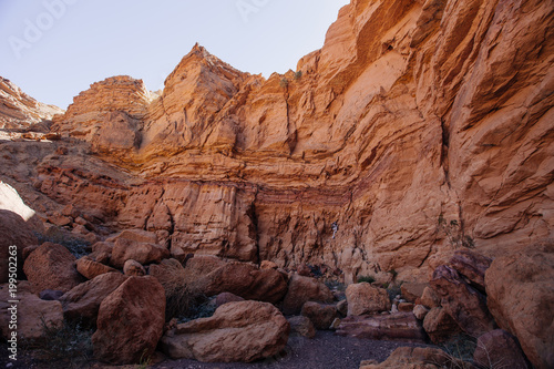 Way to Red canyon  in the Israil in sunny day with dry tree and blue sky