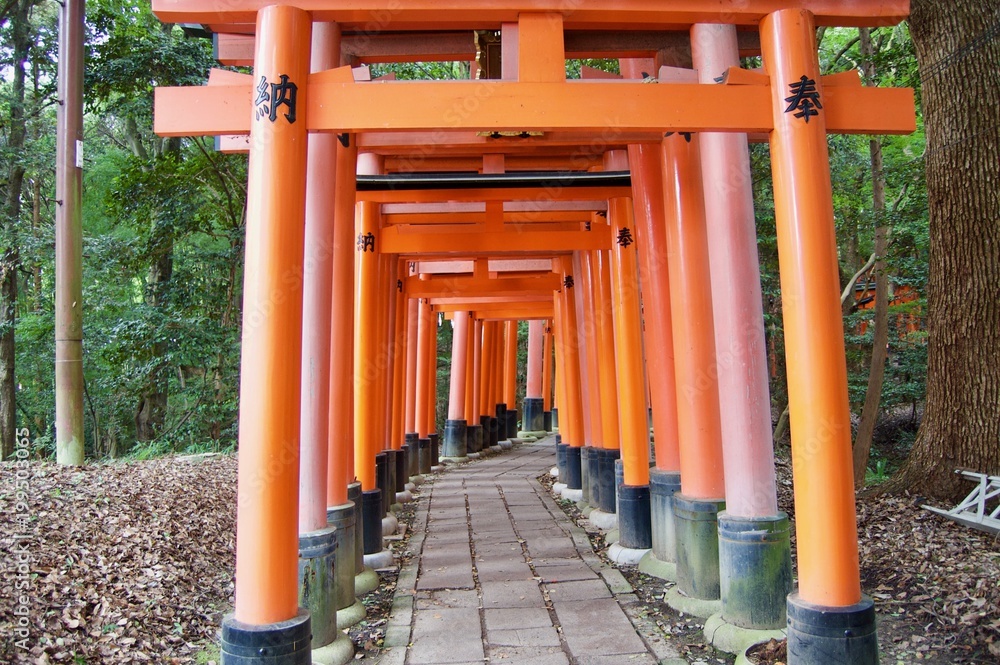 Kyoto - Japan