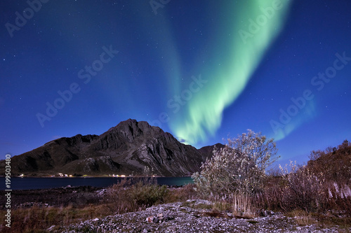 Aurora Borealis above Mt.Store Nappstind in Lofoten