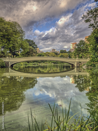 Bow bridge Central Park