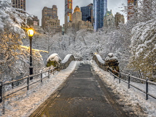 Photography Gapstow bridge Central Park, New York City