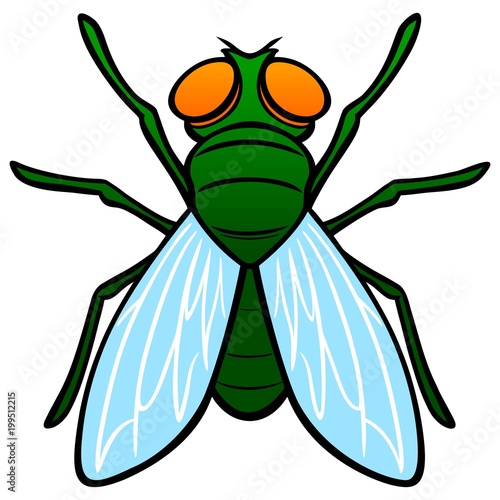 Fly Top View - A vector cartoon illustration of a top view of a Fly.