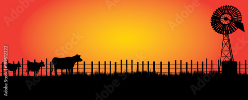 wind mill  in the outback with three cows