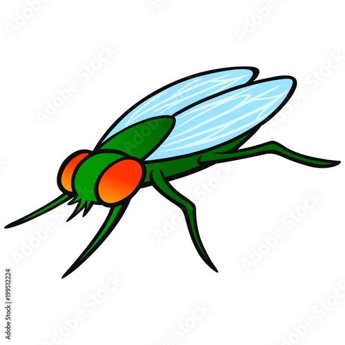 Housefly - A vector cartoon illustration of a common Housefly.