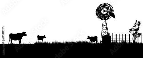 cows walking toward the windmill