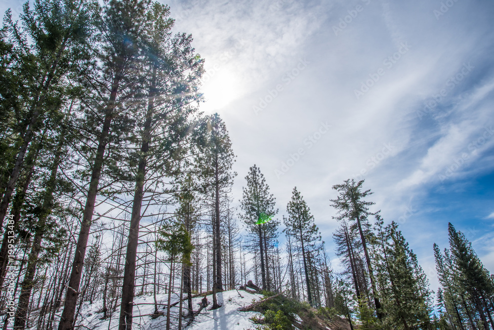 walking through the winter snow at Yosemite walking through the winter snow at Yosemite