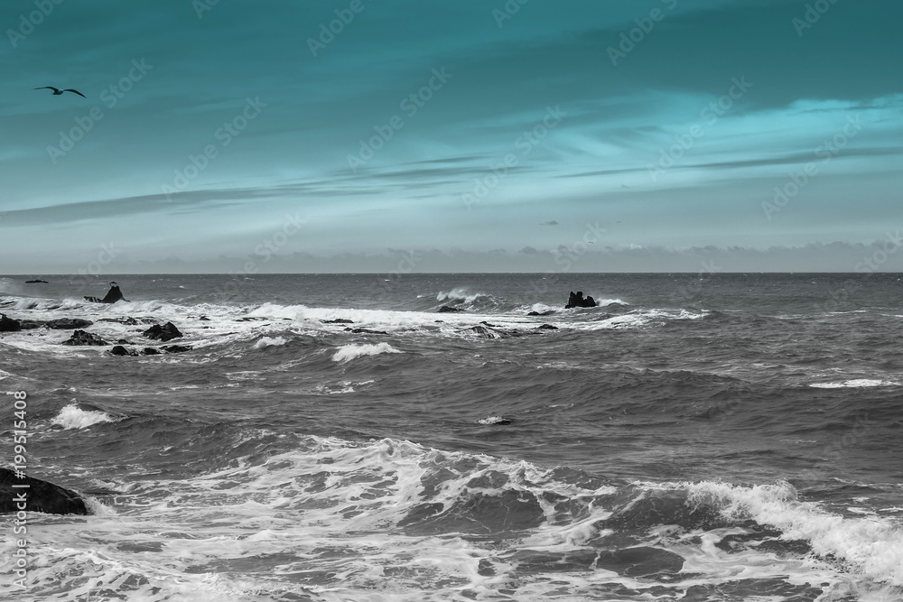 Vast Ocean View  background image with copy space