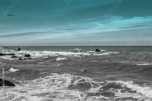 Vast Ocean View  background image with copy space