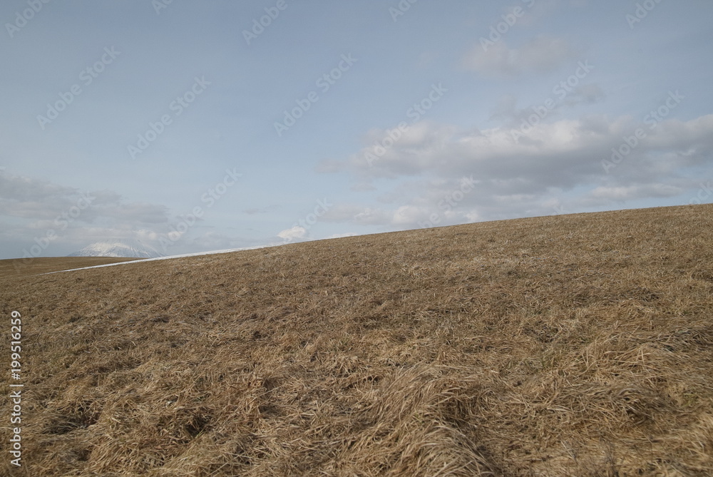 北海道風景 原野 北海道風景 原野