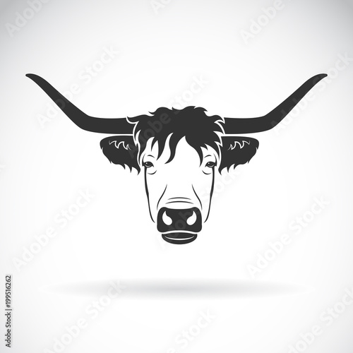Vector of highland cattle cow head design on white background. Farm Animals. Easy editable layered vector illustration.