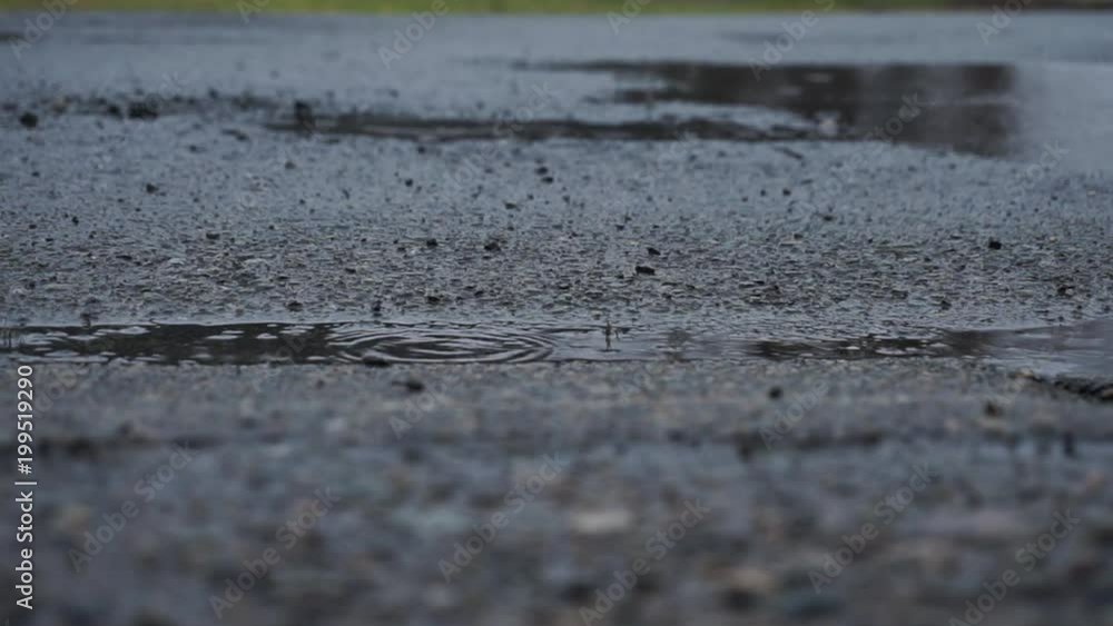 道路に降る雨