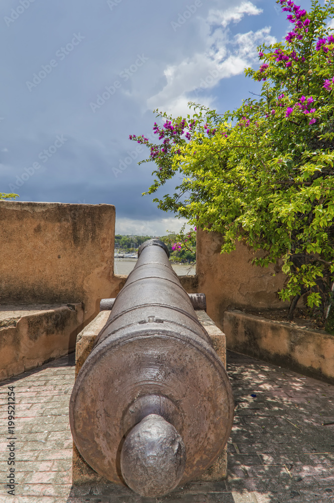 old cannon in the loophole of the fortress, a view of the sea bay in which you can see boats and yachts in the parking lot, with a flowering shrub on the right side, against the sky and clouds