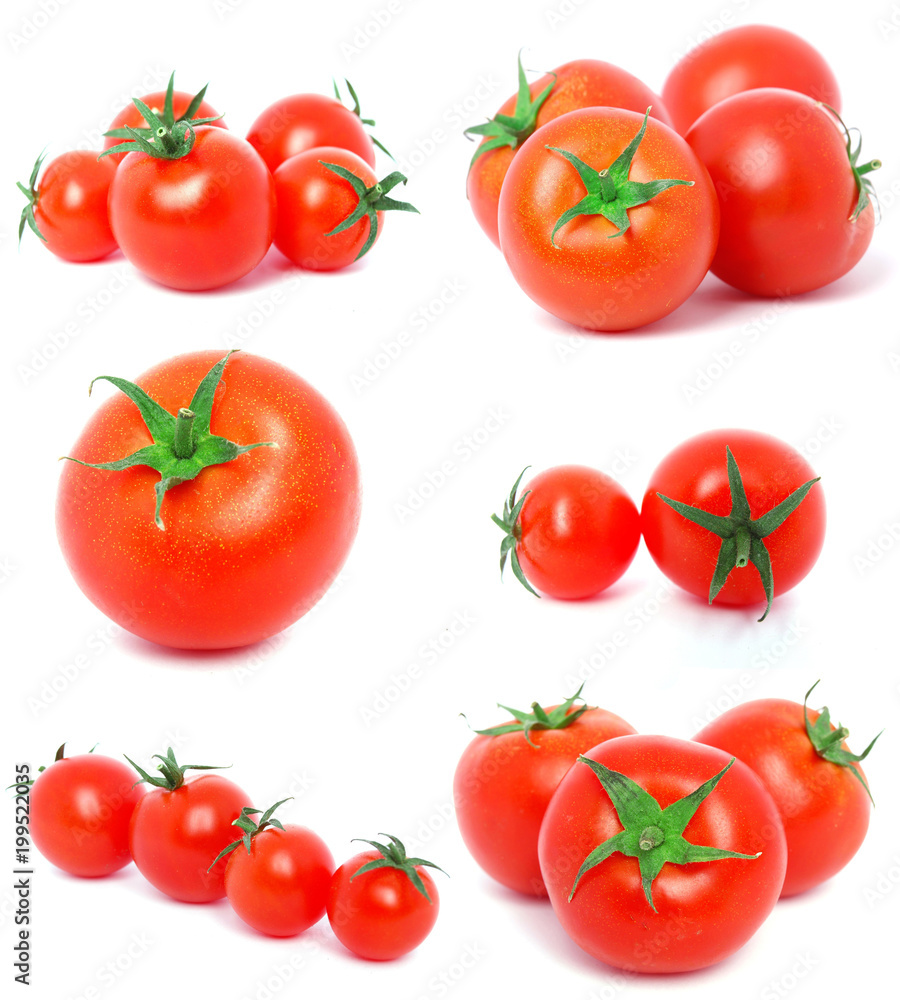 Fresh tomato Fresh tomato