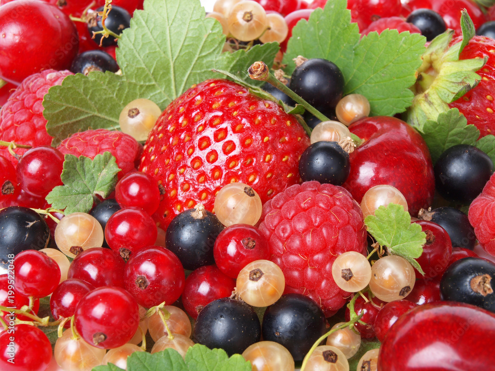 The most tasty and useful berries The most tasty and useful berries