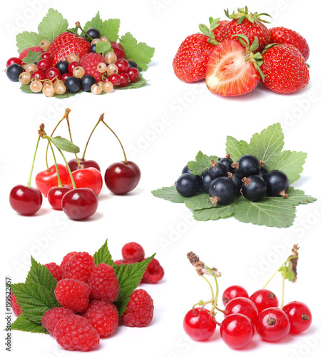 Berries fruit