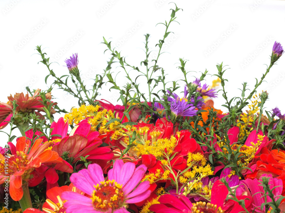 Flower Flower