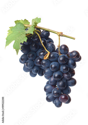 Grape fruit