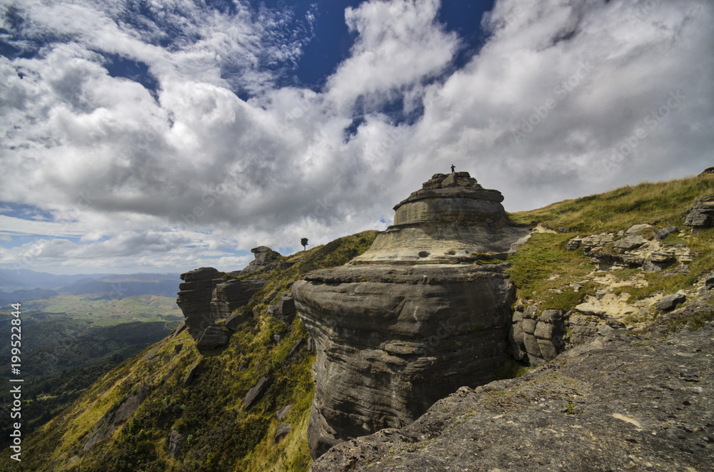 Fototapeta premium Bell rock, New Zealand