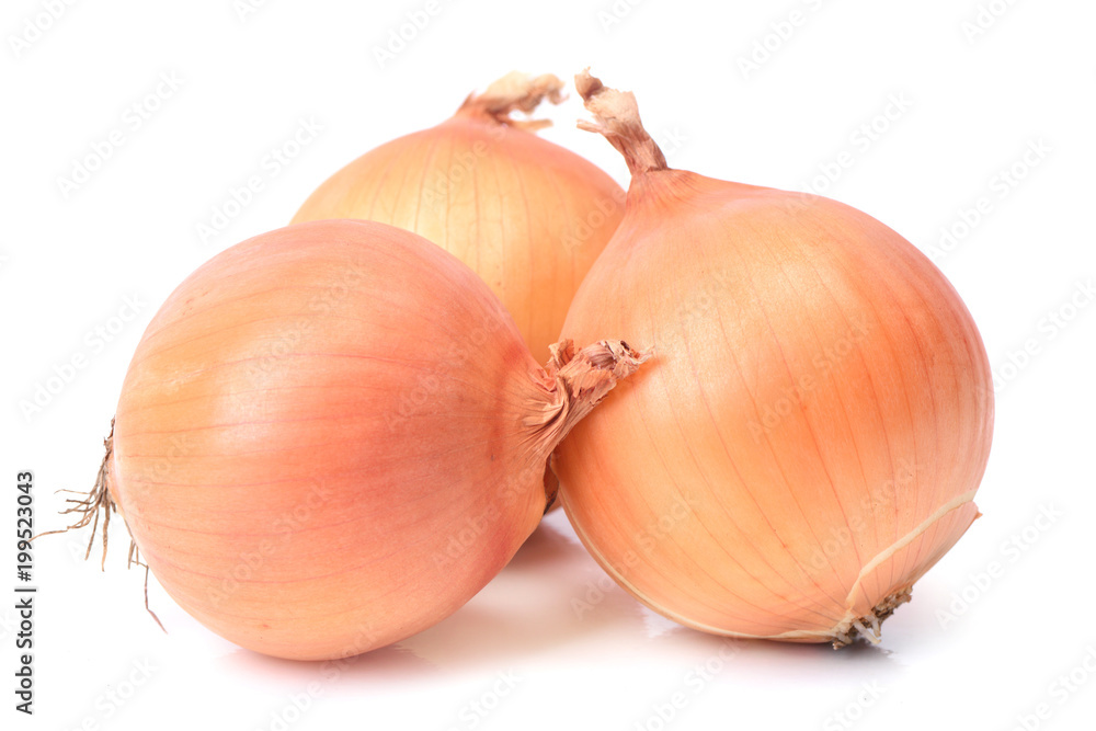 Fototapeta premium Fresh onion