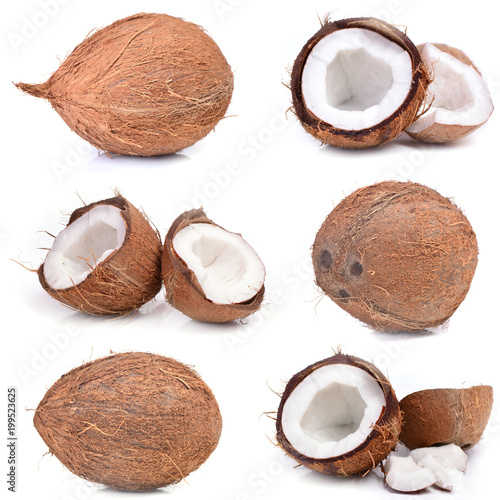 Coconut