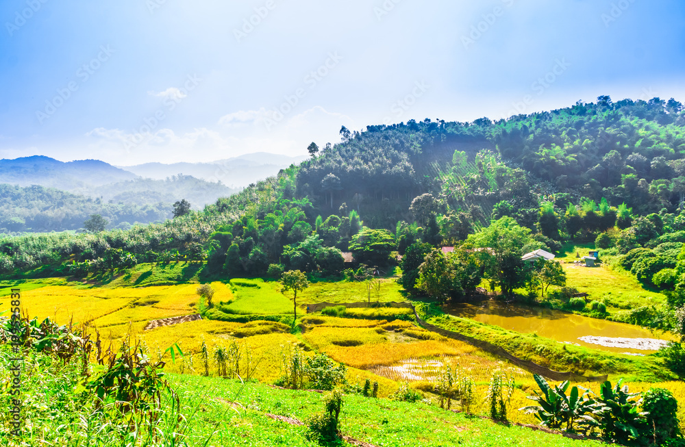 View on rice field landscape by Chiang Rai - Thailand
