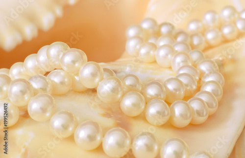 Pearls necklace on seashell closed up