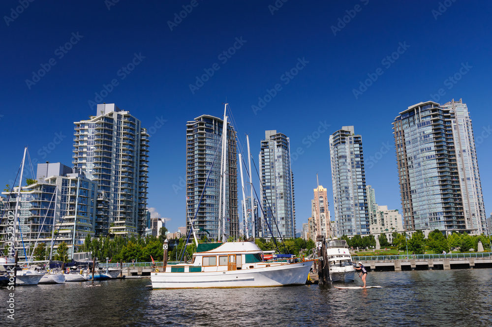 Obraz premium フォールスクリーク