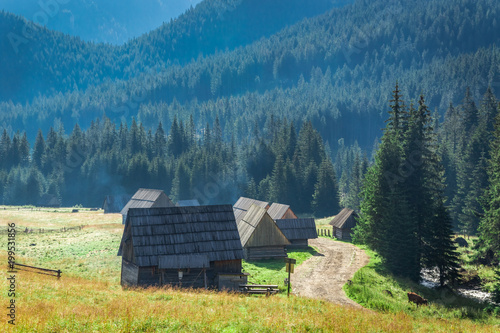 Mountain trail between cottages in Tatras at sunrise, Poland