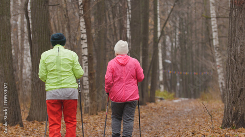 Nordic walking for elderly women outdoor - two senior ladies have training outdoor - rear view