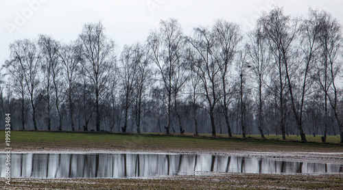 Baumreihe im Winter - Elmenhorst