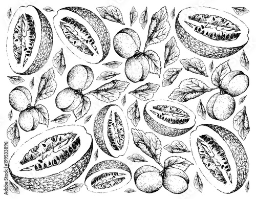 Hand Drawn Background of European Plum and Chiverre Fruits